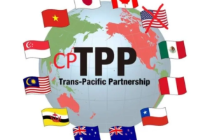 CPTPP可能在部分自貿(mào)試驗區(qū)和海南自貿(mào)港先行先試